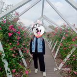 径山花海