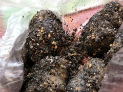 -叶氏麻糍(鼓浪屿店)