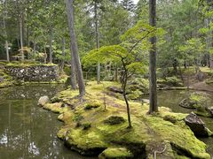 -西芳寺(苔寺)
