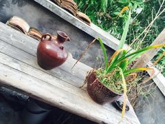 -小洲村