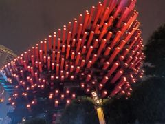 -重庆国泰艺术中心