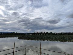 -西双版纳傣族园