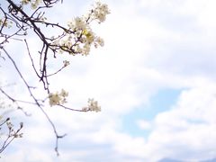 -大理洱海