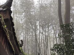 -缙云山景区