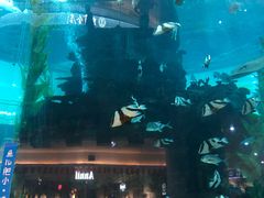 -鸿通城购物中心