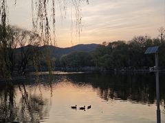 -石家庄市动物园