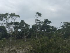 -东寨港红树林旅游区