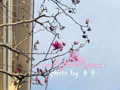 -锡师附小学(学前街校区)