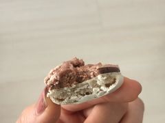 -BLACKSWAN黑天鹅(环球店)