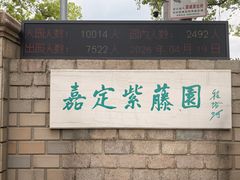 -嘉定紫藤园
