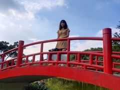 -东莞植物园