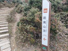 -大姆山草场