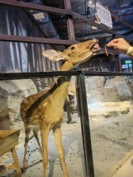 -酷嗒动物文化乐园(cutezoo西溪乐天城店)