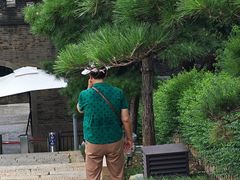 -白沙古井