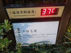 -天目湖涵田半山温泉