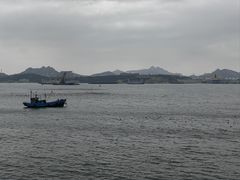 -摩天岭风景区