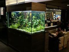 -大家乐(江门汇悦城店)