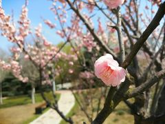 -江南大学(蠡湖校区)