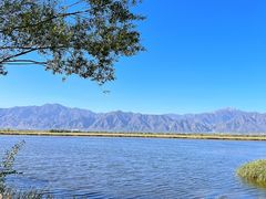 -野鸭湖国家湿地公园