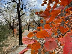 -北京鹫峰国家森林公园