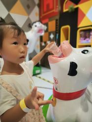 -哈尼鹿儿童乐园(长沙梅溪湖步步高店)
