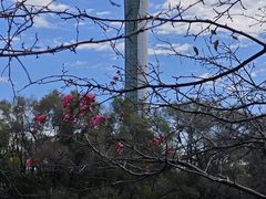 -沈阳植物园