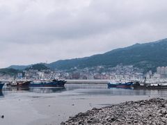 -梅子大排档