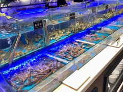 -SEA西雅图海鲜自助餐厅(海乐世界店)