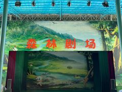 -森波拉奇妙世界