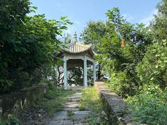 -北京鹫峰国家森林公园