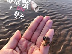 -东戴河风景区-止锚湾