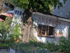 -广东紫坭糖厂(桥头路)