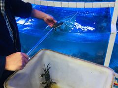 -黄记大闸蟹专卖店·活蟹·醉蟹
