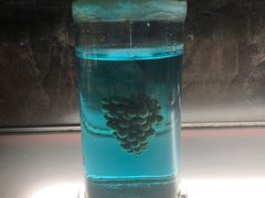 -青岛葡萄酒博物馆