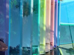 -亚龙湾热带天堂森林公园