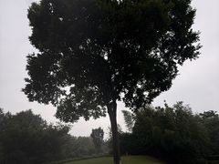 -天目湖涵田度假村