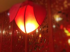 -芦月轩羊蝎子(太平桥店)