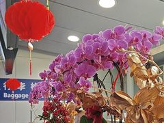 -上海浦东国际机场-T2航站楼