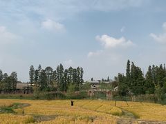 -乌村