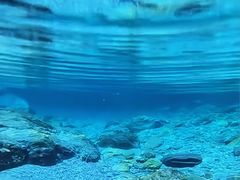 -西安曲江海洋极地公园