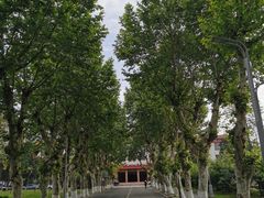 -四川大学(望江校区)