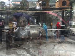 -泉州海丝野生动物世界