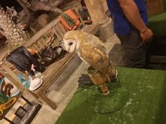 -清迈夜间动物园