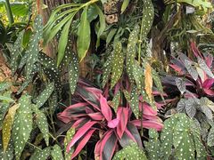 -北京植物园-展览温室