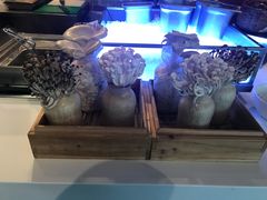 -上海浦东嘉里大酒店