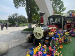 -上海鲜花港