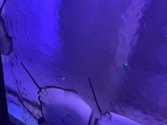 -波塞冬旅游度假区