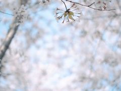 -龙美术馆(西岸馆)
