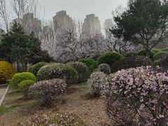 -前关湿地公园