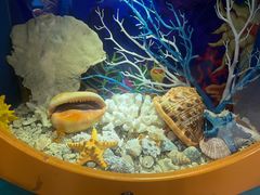 -多彩贵州城极地海洋世界